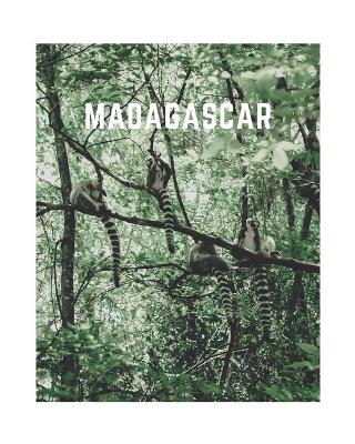 Book cover for Madagascar