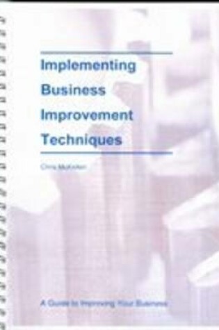 Cover of Implementing Business Improvement Techniques