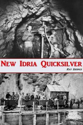 Cover of New Idria Quicksilver