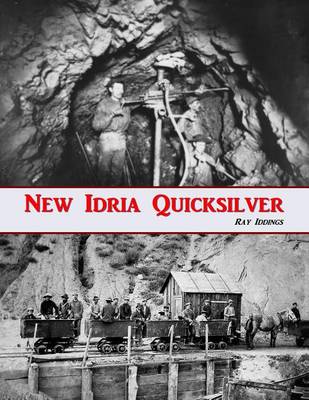 Book cover for New Idria Quicksilver