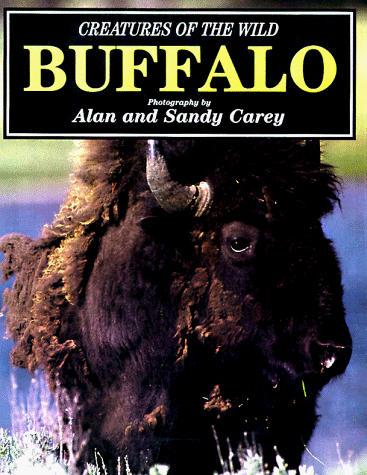 Book cover for Buffalo