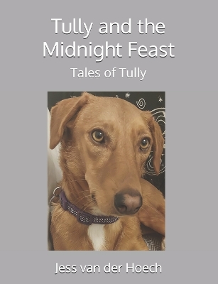 Cover of Tully and the Midnight Feast