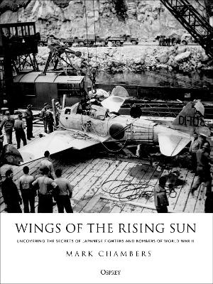 Book cover for Wings of the Rising Sun