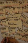 Book cover for I Can't Remember Your Name