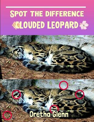 Book cover for Spot the difference Clouded Leopard