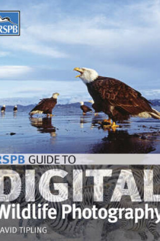 Cover of Digital Wildlife Photography