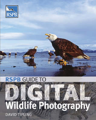 Book cover for Digital Wildlife Photography