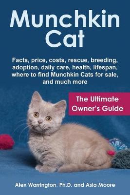 Book cover for Munchkin Cat
