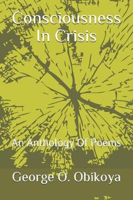 Book cover for Consciousness In Crisis