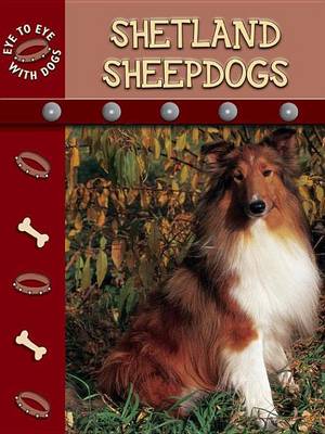 Book cover for Shetland Sheepdogs