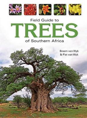 Book cover for Field Guide to Trees of Southern Africa