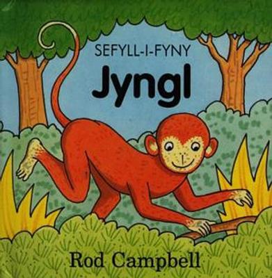 Book cover for Cyfres Sefyll-i-Fyny: Jyngl