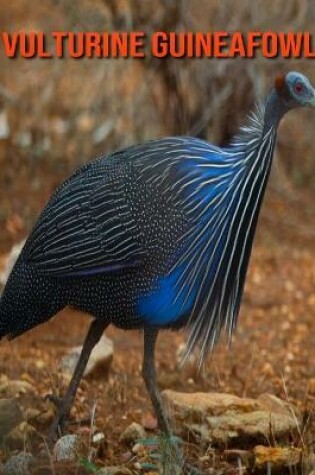 Cover of Vulturine Guineafowl