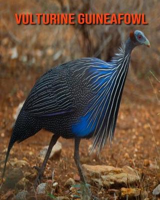 Book cover for Vulturine Guineafowl