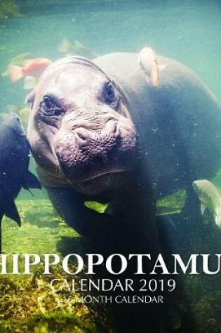 Cover of Hippopotamus Calendar 2019