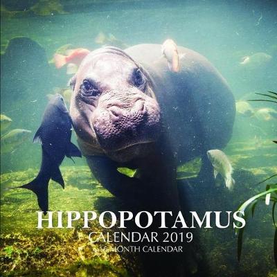 Book cover for Hippopotamus Calendar 2019