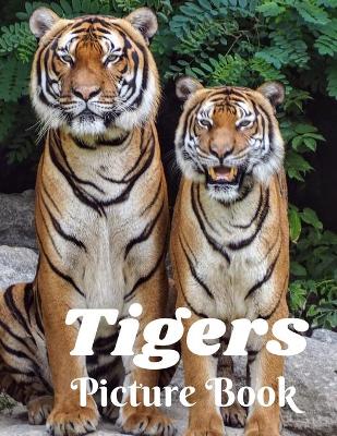 Book cover for Tigers Picture Book