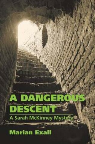 Cover of A Dangerous Descent