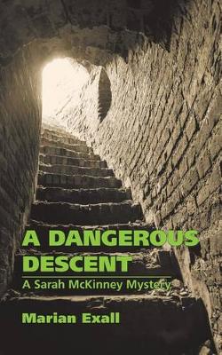 Book cover for A Dangerous Descent