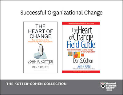 Book cover for Successful Organizational Change