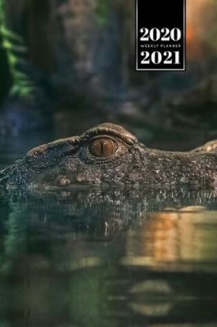 Cover of Crocodile Alligator Gharial Caiman Reptile Week Planner Weekly Organizer Calendar 2020 / 2021 - Eyes out of Water