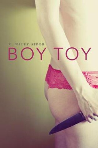 Cover of Boy Toy