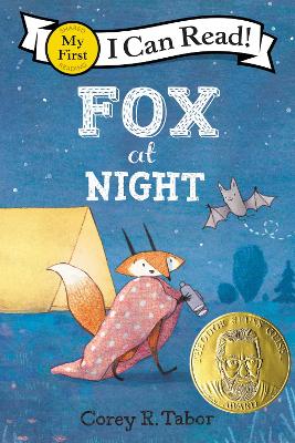 Book cover for Fox at Night