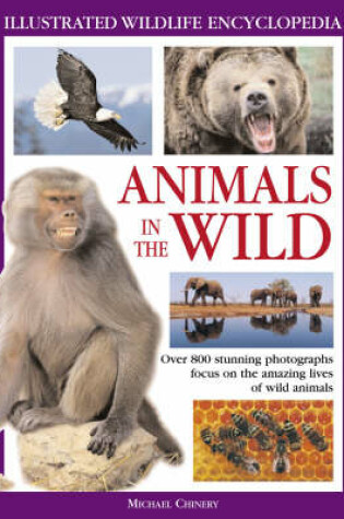 Cover of Animals in the Wild
