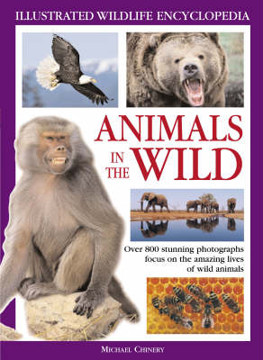 Book cover for Animals in the Wild