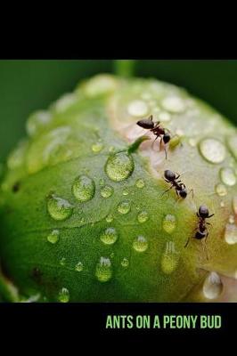 Book cover for Ants on a Peony Bud