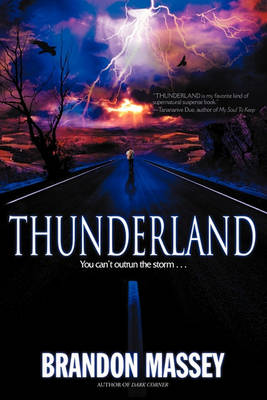 Book cover for Thunderland