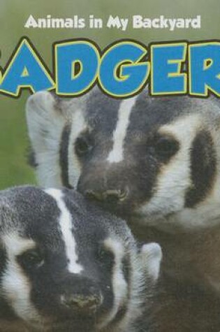 Cover of Badgers