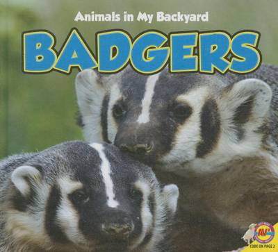 Book cover for Badgers