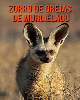 Book cover for Zorro de orejas de murciélago