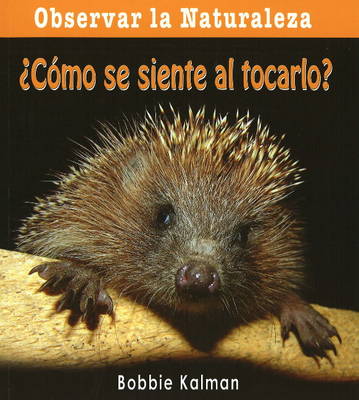 Book cover for Como Se Siente Al Tocarlo?