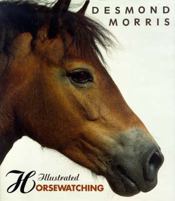 Book cover for Illustrated Horsewatching
