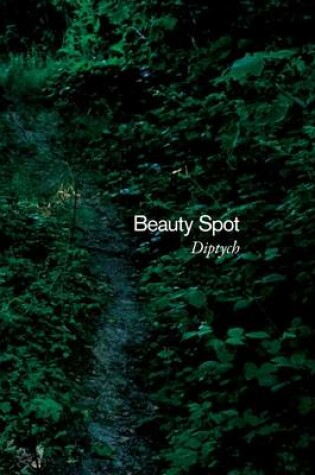 Cover of Beauty Spot (diptych)