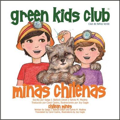 Book cover for Minas Chilenas