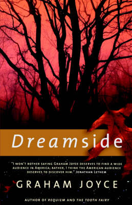 Book cover for Dreamside