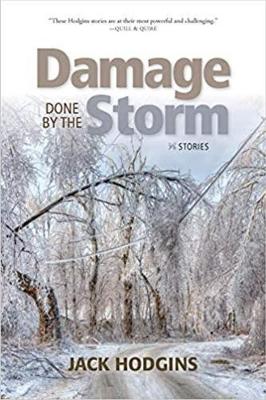 Book cover for Damage Done by the Storm