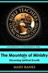 Book cover for The Mountain of Ministry