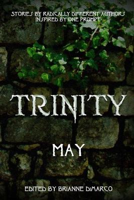 Book cover for Trinity