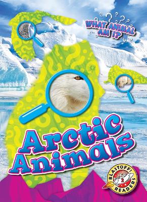 Cover of Arctic Animals