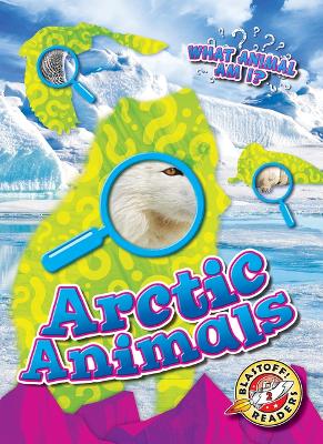 Book cover for Arctic Animals