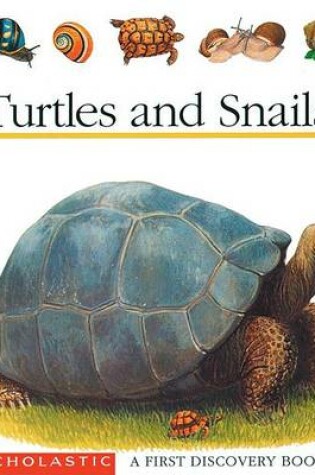 Cover of Turtles and Snails