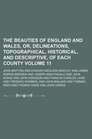 Cover of The Beauties of England and Wales, Or, Delineations, Topographical, Historical, and Descriptive, of Each County Volume 11