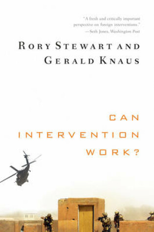 Cover of Can Intervention Work? (Norton Global Ethics Series)