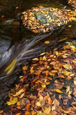 Cover of Fallen Leaves in a Stream Journal