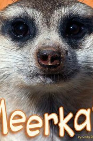 Cover of Meerkats