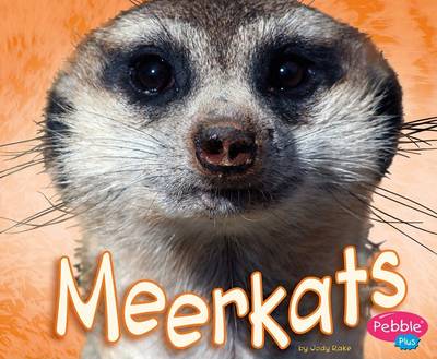 Book cover for Meerkats